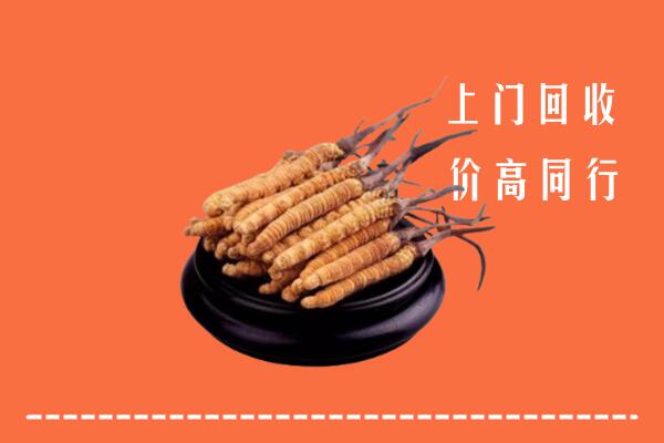 高价求购：福海县回收散虫草