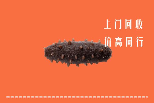 高价求购：福海县回收海参