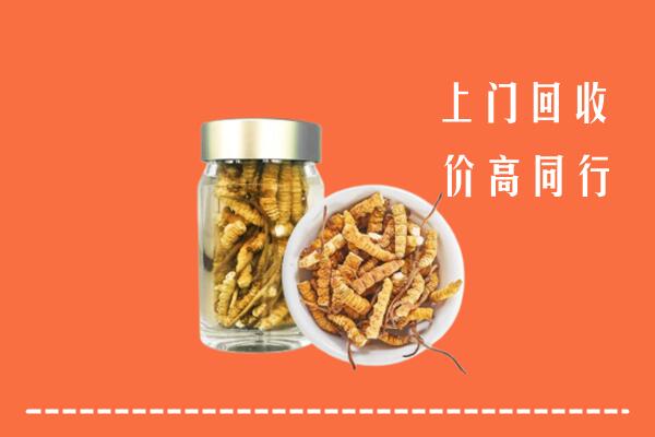 福海县回收冬虫夏草