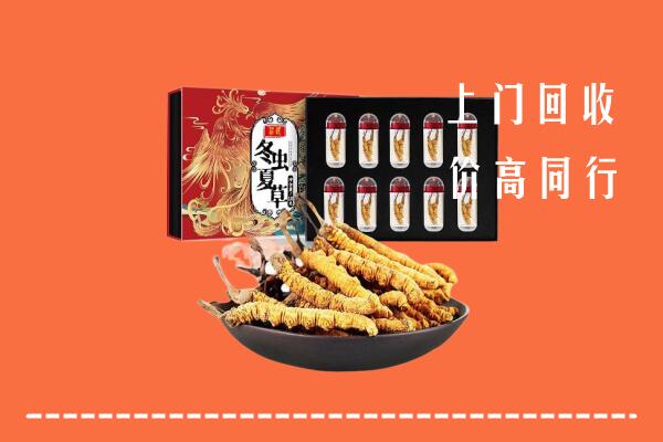 福海县回收虫草